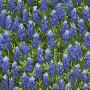 Moda Wildflowers Basics Summer Bluebonnets